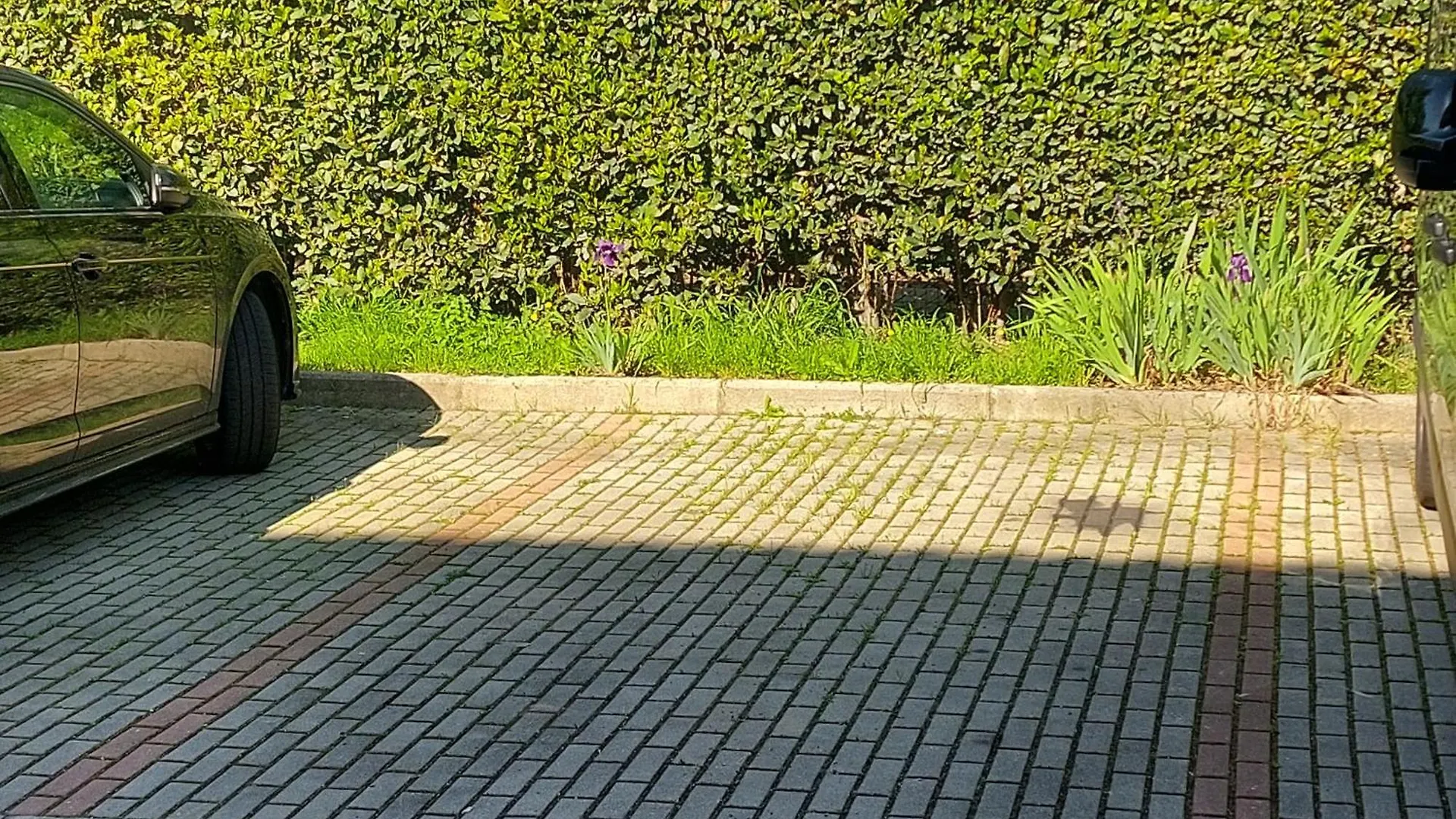 Guest house Vespucci Rooms & Apartament Eliana Florence